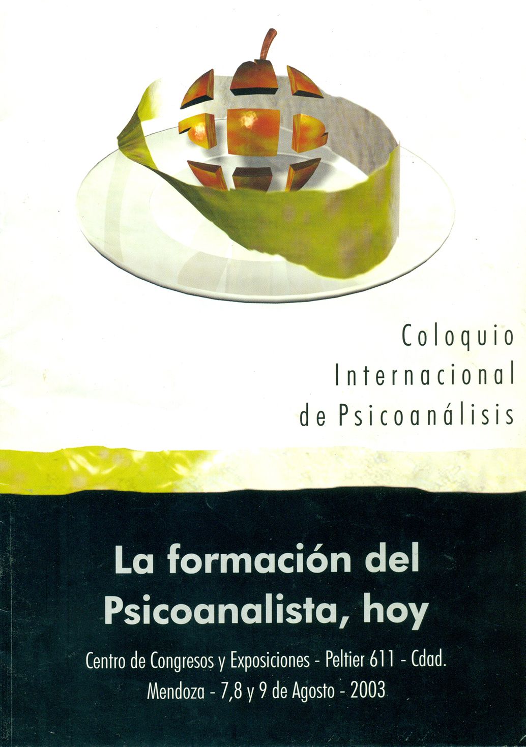 Coloquio Mendoza - 2003